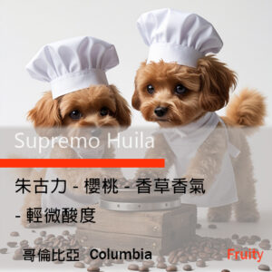 Columbia Supremo Huila 哥倫比亞