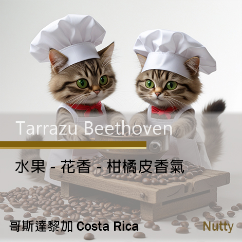 Costa Rica Beethoven  哥斯達黎加貝多芬 (精品豆)