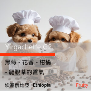 Ethiopia Yirgacheffe G2 埃塞俄比亞耶加雪夫