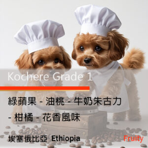 Ethiopia Yirgacheffe Kochere Grade 1 埃塞俄比亞 耶加雪夫 (精品豆)