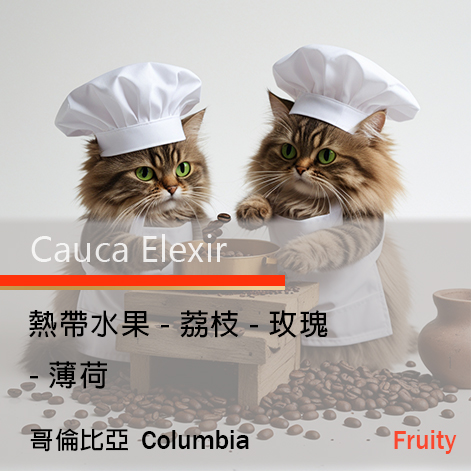 Cauca Double Anaerobic Tropical (精品豆)